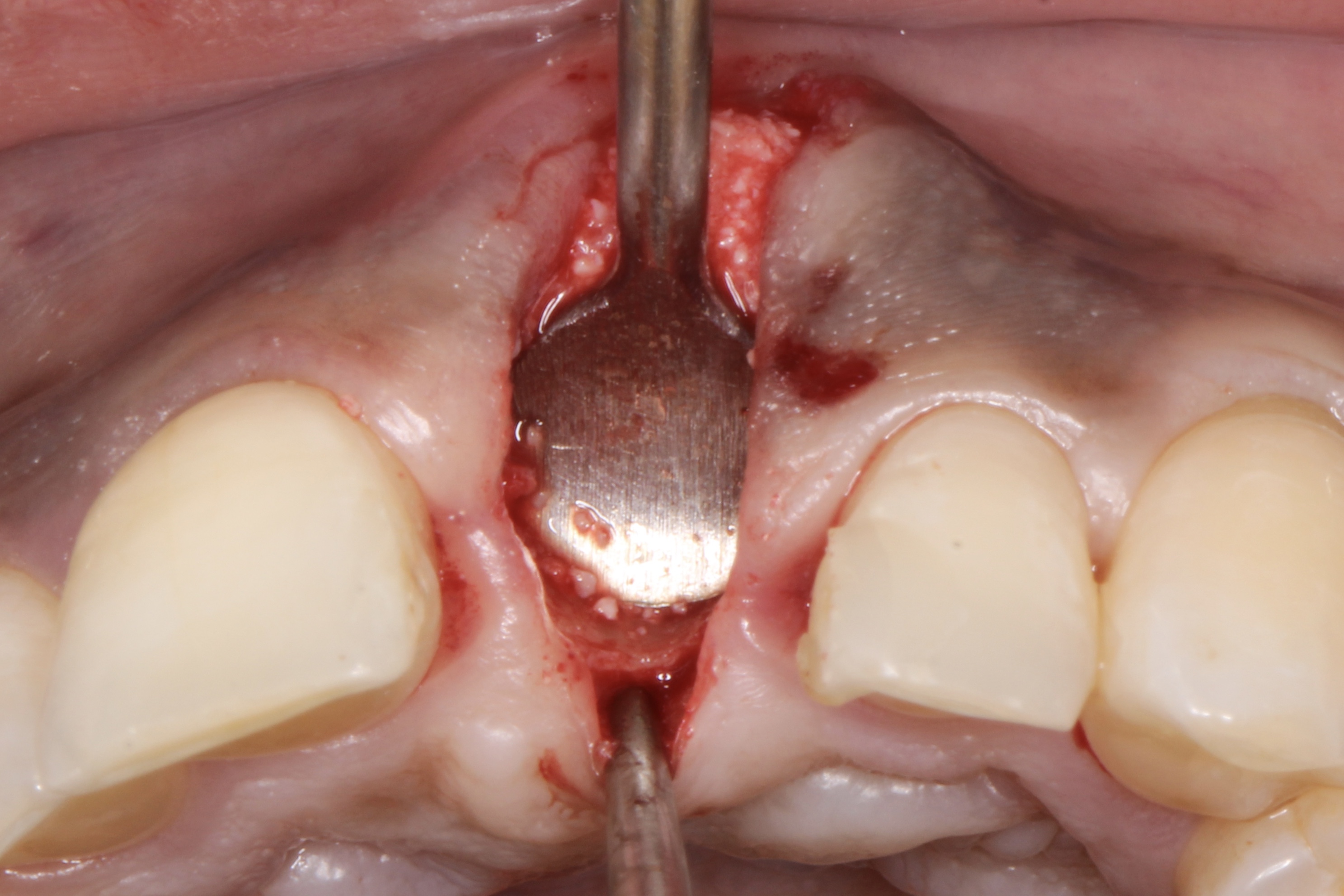 Figure 5.
